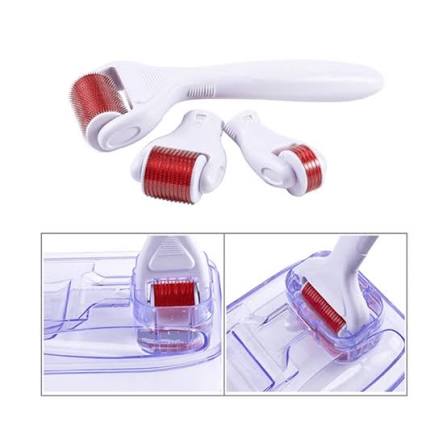 4 in 1 Derma roller set